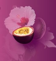 Пиво Passionfruit & Hibiscus Tart Пиво Passionfruit & Hibiscus Tart