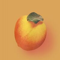 Пиво Peach Tart Пиво Peach Tart