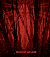 Пиво Sense of Wonder