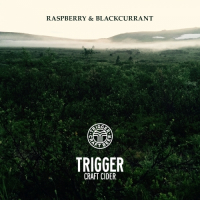 Пиво Raspberry Cider