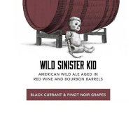 Пиво Wild Sinister Kid: Black Currant & Pinot Noir Grapes Пиво Wild Sinister Kid: Black Currant & Pinot Noir Grapes
