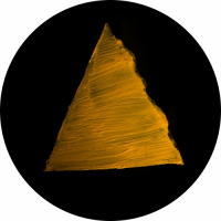 Пиво Yellow Triangle - Желтый треугольник