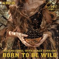 Пиво Born To Be Wild: Black Currant
