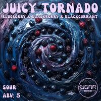 Пиво Juicy Tornado: Blueberry & Blackberry & Blackcurrant