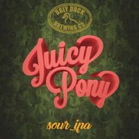 Пиво Juicy Pony Sour IPA Пиво Juicy Pony Sour IPA