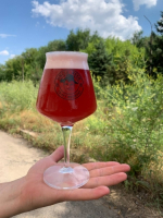 Пиво Easy Berry Sour Ale