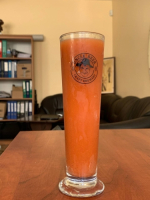 Пиво Michelada Gose