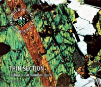 Пиво Thin Section