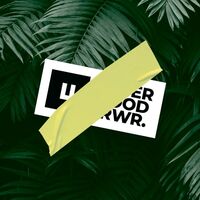 Пиво JUNGLE DREAM