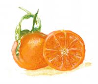 Пиво Catharina Sour Clemenules - Tangerina