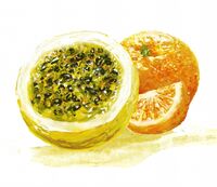 Пиво Catharina Sour Mala Kuia - Maracujá & Laranja