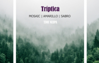 Пиво Tríptica