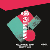 Пиво Melagrano Sour NOEL