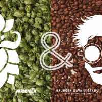 Пиво Siesta Session Coffee