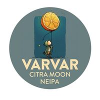 Пиво Citra Moon