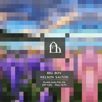 Пиво Big Boy Nelson Sauvin
