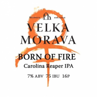 Пиво Born of Fire