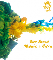 Пиво Two Faced: Mosaic & Citra