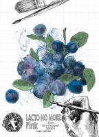 Пиво Lacto No More Pink