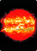 Пиво Red Giant Пиво Red Giant