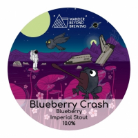 Пиво Blueberry Crash