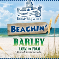 Пиво Beachin' Barley Пиво Beachin' Barley