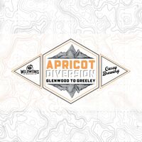 Пиво Apricot Diversion Пиво Apricot Diversion