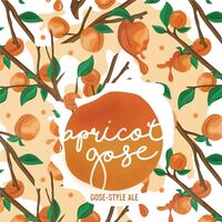 Пиво Apricot Gose Пиво Apricot Gose