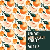 Пиво Apricot + White Peach Cobbler Пиво Apricot + White Peach Cobbler