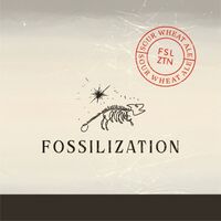 Пиво Fossilization Пиво Fossilization