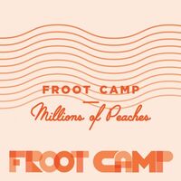 Пиво Froot Camp: Millions of Peaches