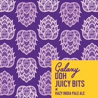 Пиво Galaxy DDH Juicy Bits Пиво Galaxy DDH Juicy Bits