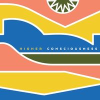 Пиво Higher Consciousness Пиво Higher Consciousness