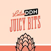 Пиво Lotus DDH Juicy Bits Пиво Lotus DDH Juicy Bits