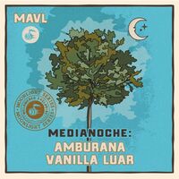 Пиво Medianoche: Amburana Vanilla Luar Пиво Medianoche: Amburana Vanilla Luar