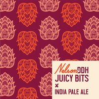 Пиво Nelson DDH Juicy Bits Пиво Nelson DDH Juicy Bits