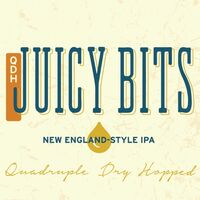 Пиво QDH Juicy Bits Пиво QDH Juicy Bits