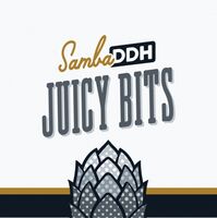 Пиво Samba DDH Juicy Bits Пиво Samba DDH Juicy Bits