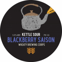 Пиво Blackberry Saison
