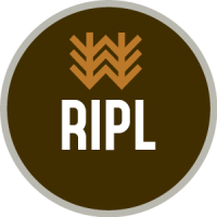 Пиво RIPL