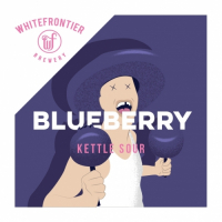 Пиво Blueberry Kettle Sour Пиво Blueberry Kettle Sour