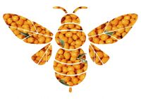 Пиво Wild Bee Sea-Buckthorn (облепиха)