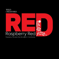 Пиво Raspberry Red Пиво Raspberry Red