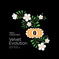 Пиво Velvet Evolution