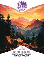 Пиво Pastry Sour Ale Пирог с черникой, смородиной, шоколадом и миндалем