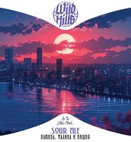 Пиво Smoothie Sour Ale Клюква, Малина и Вишня