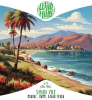 Пиво Sour Ale Ананас, Лайм, Белая гуава