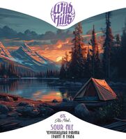 Пиво Sour Ale Черноплодная Рябина Гранат и Гуава