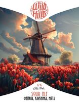 Пиво Sour Ale Фейхоа, клубника, мята