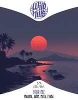 Пиво Sour Ale - Малина, лайм, мята, гуава